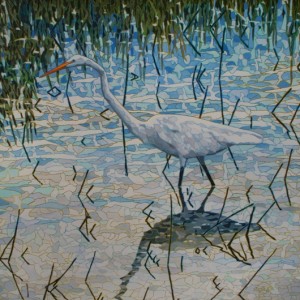 Wading-Egret